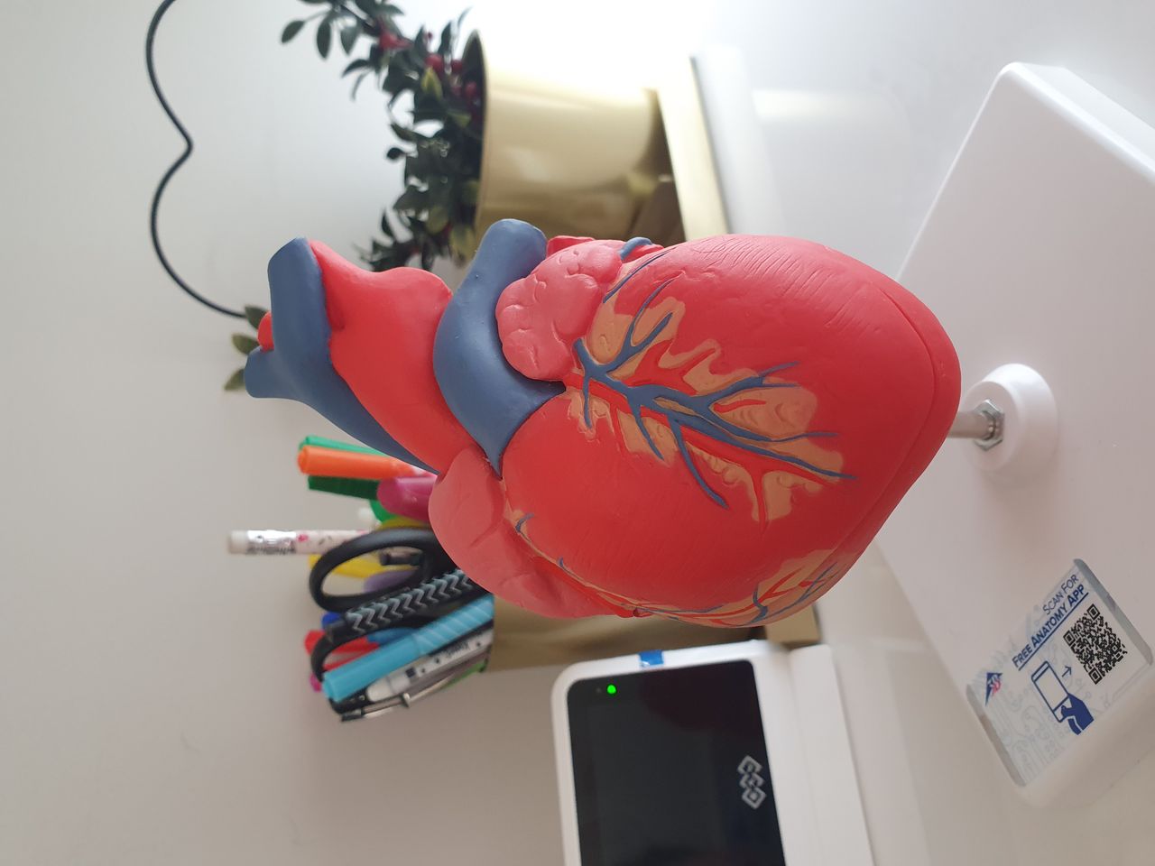 Marta Stolarczyk-Szczesna-4