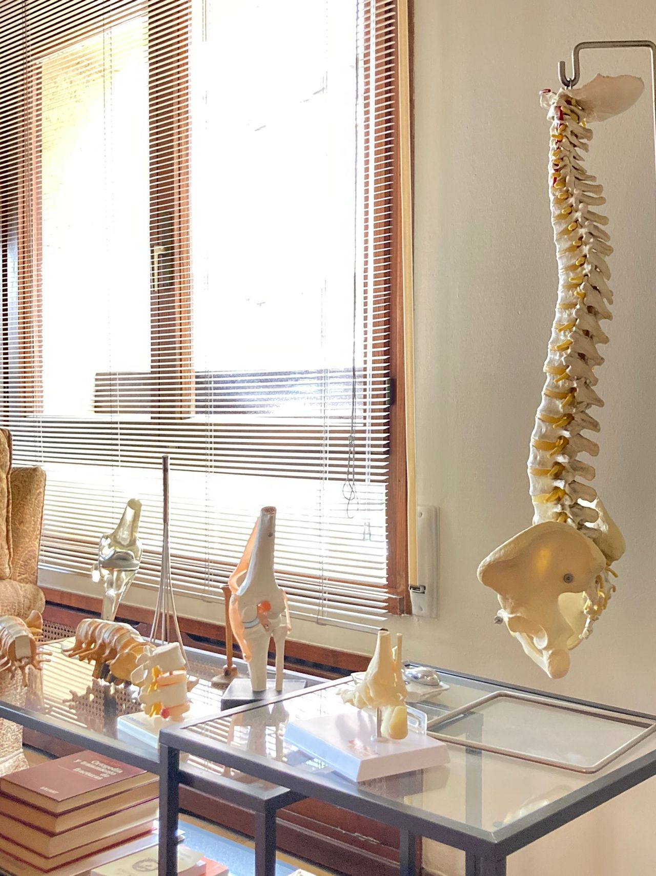 Jose Carlos López-Fanjul Menéndez-1