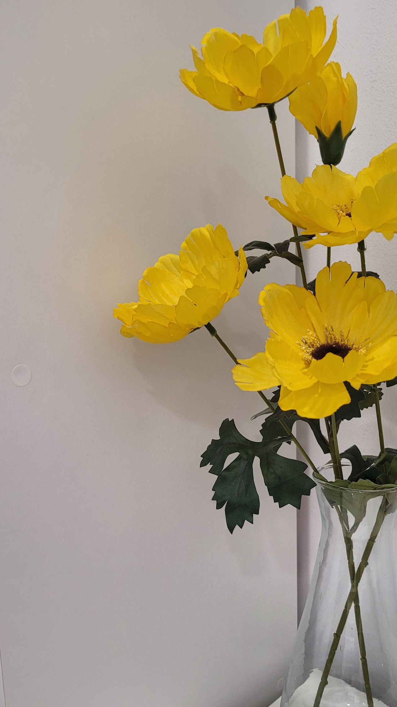 Sonia Alcaide Baena-2