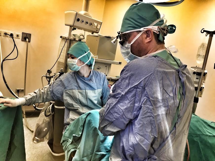 Tolga Gülçiçek-28