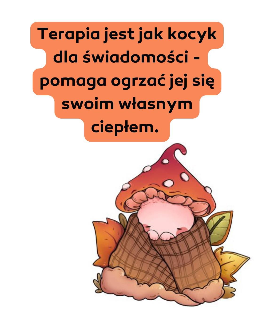 Kamil Andrzej Mross-32