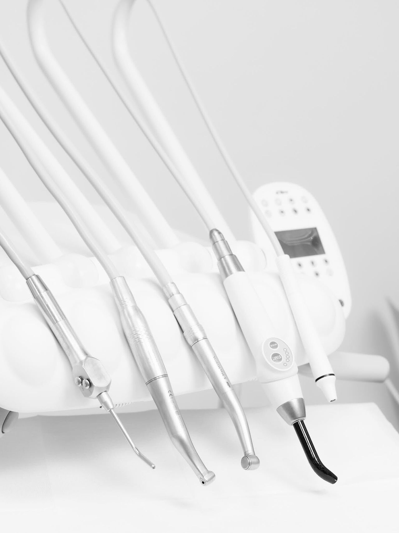 Paulina Adamcewicz-2