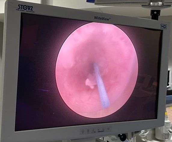 Francisco Gutiérrez Tejero-4