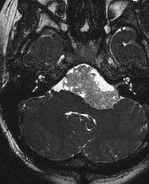 Jarosław Andrychowski-5