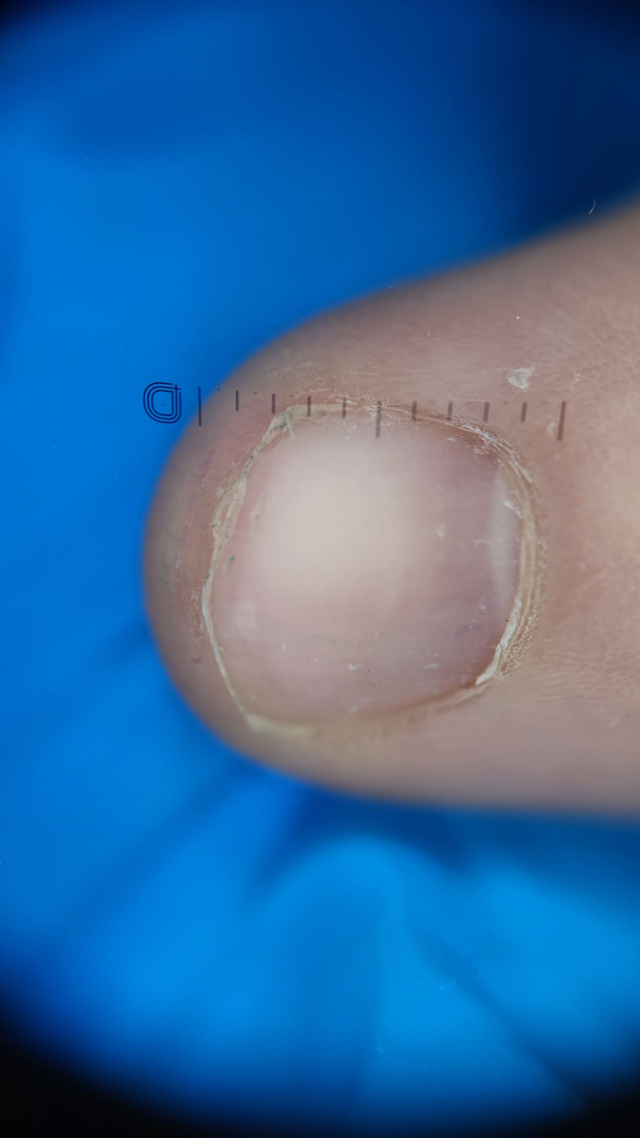 Paweł Pietkiewicz-5