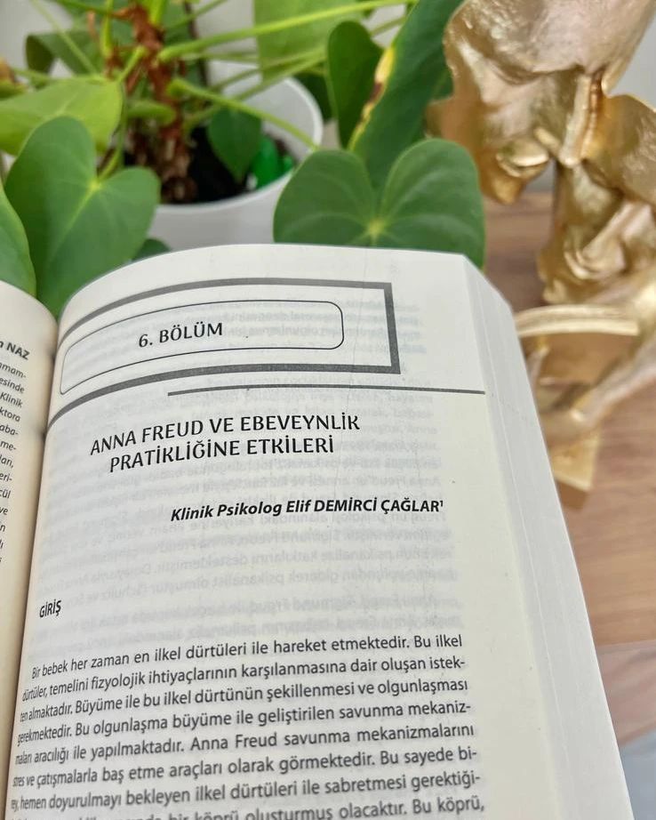 Elif Demirci Çağlar-19