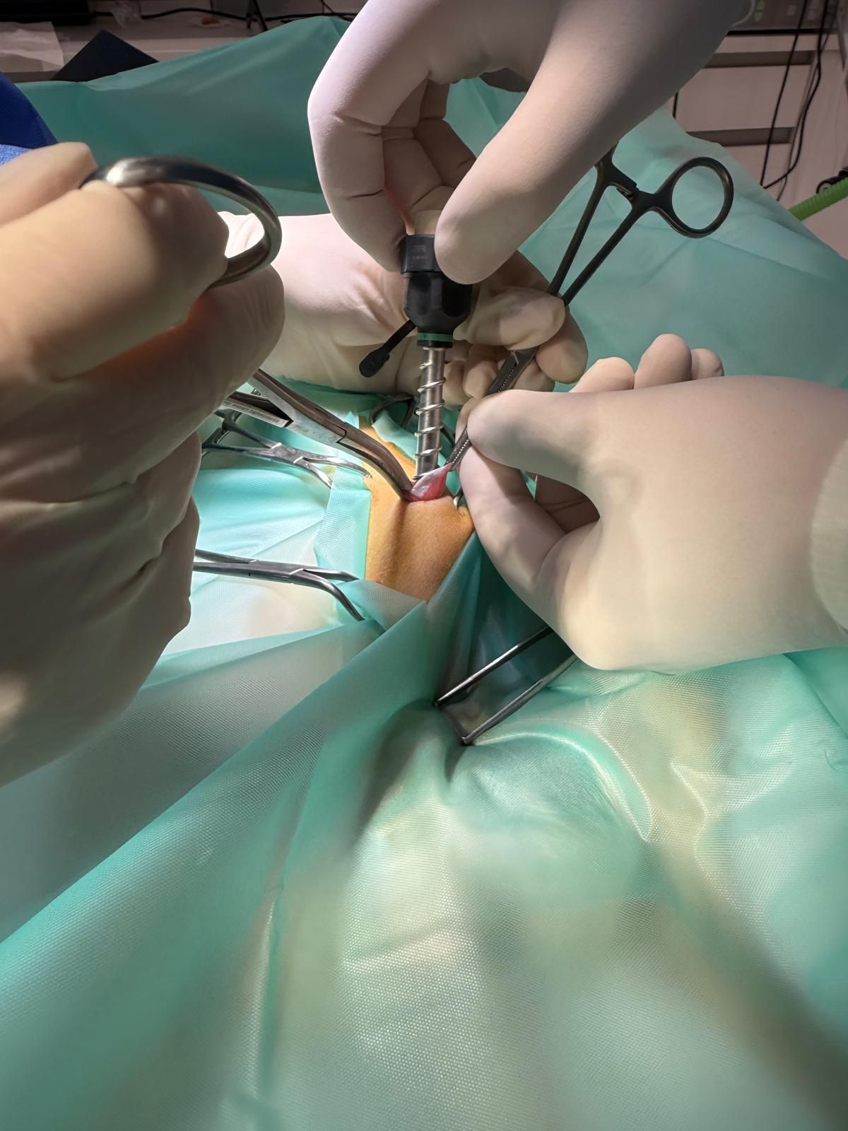 Radosław Fedaczyński-19