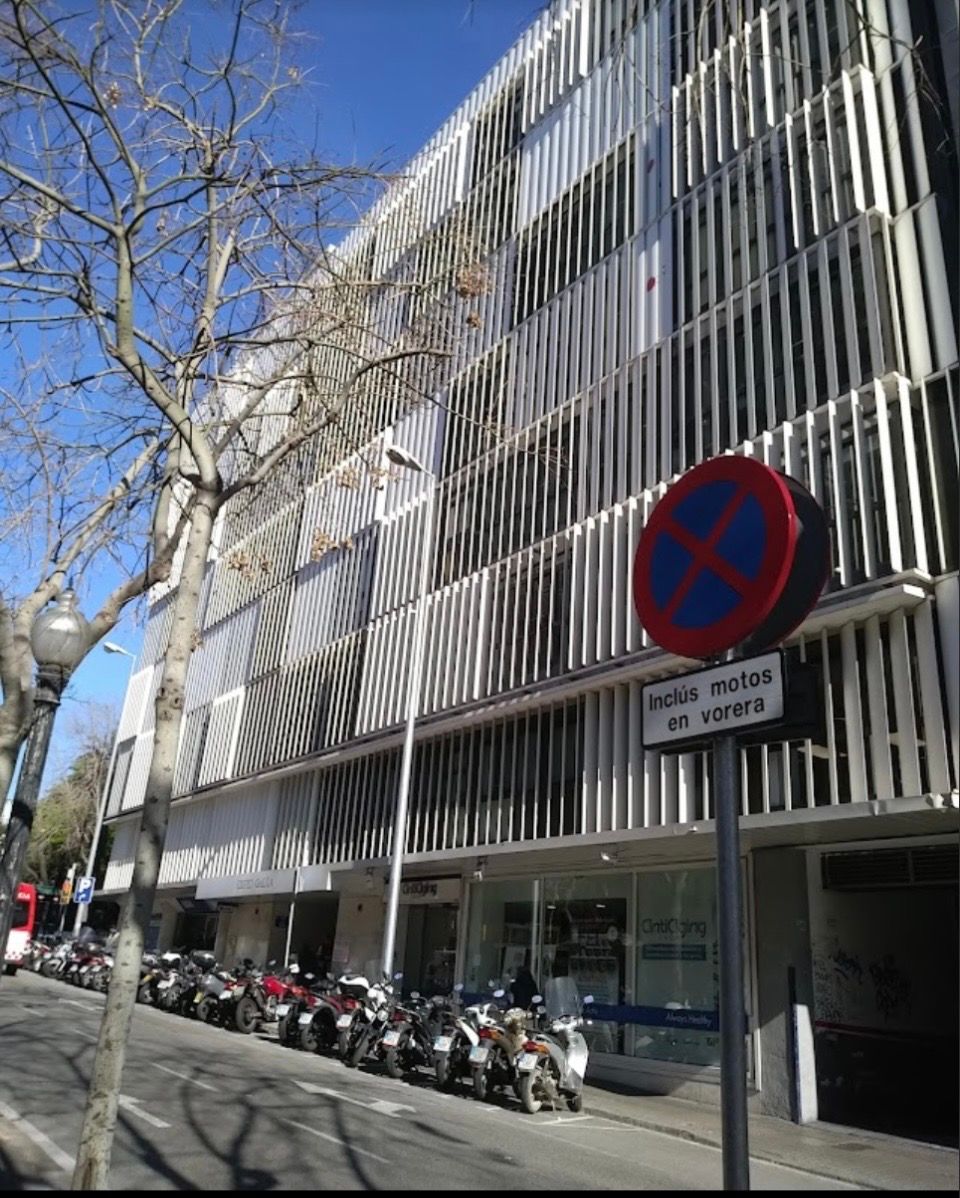 Silvia Cruz Vizcaino-14