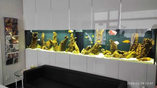 Karolina Dobrowolska-1