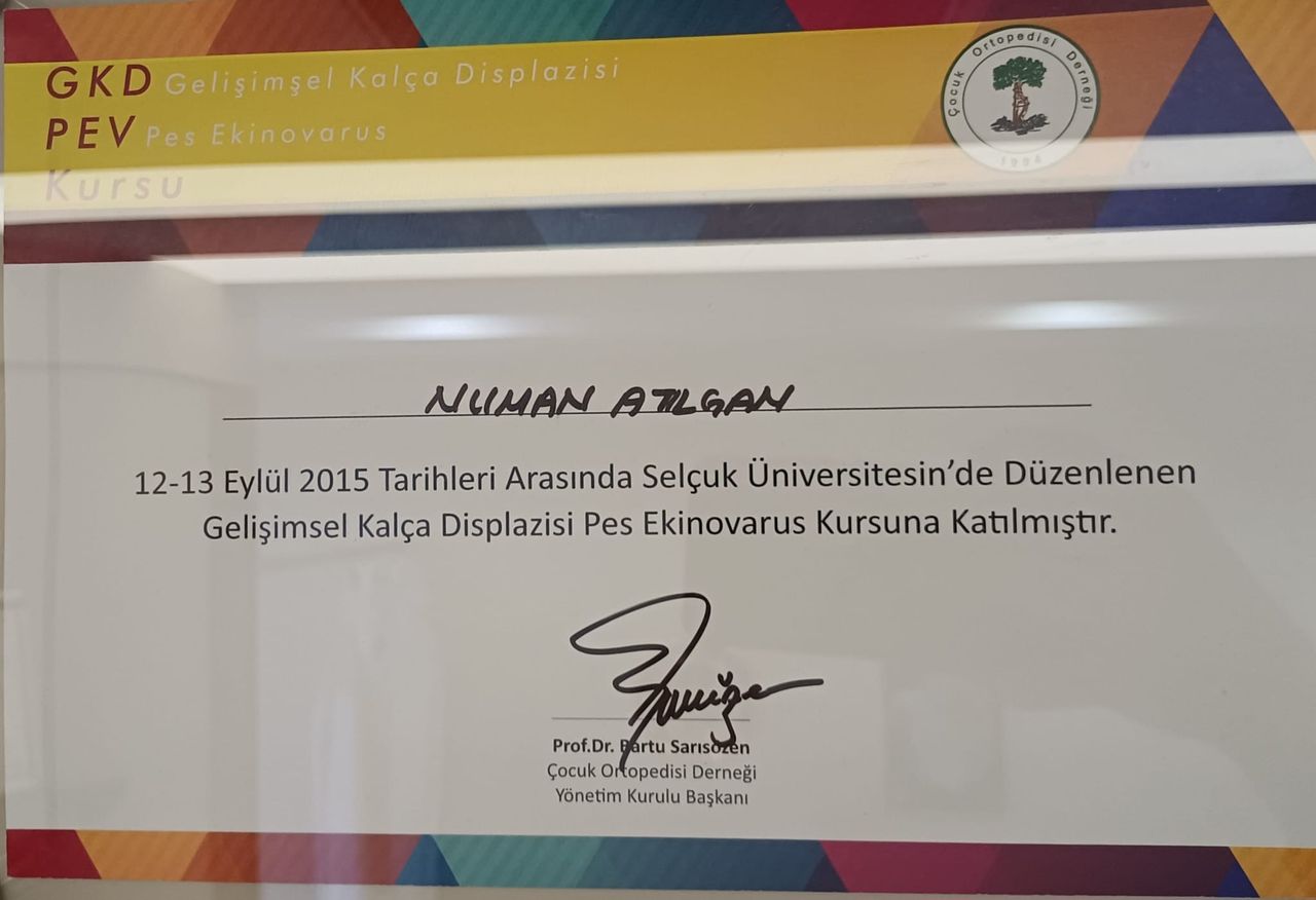 Numan Atılgan-12