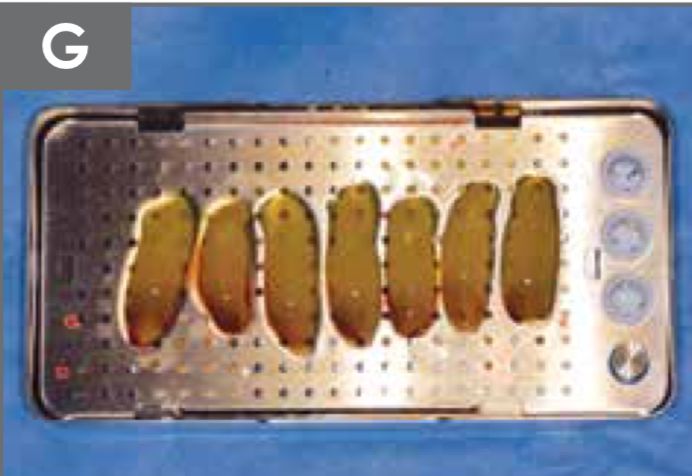 Antonio Camacho Medina-8