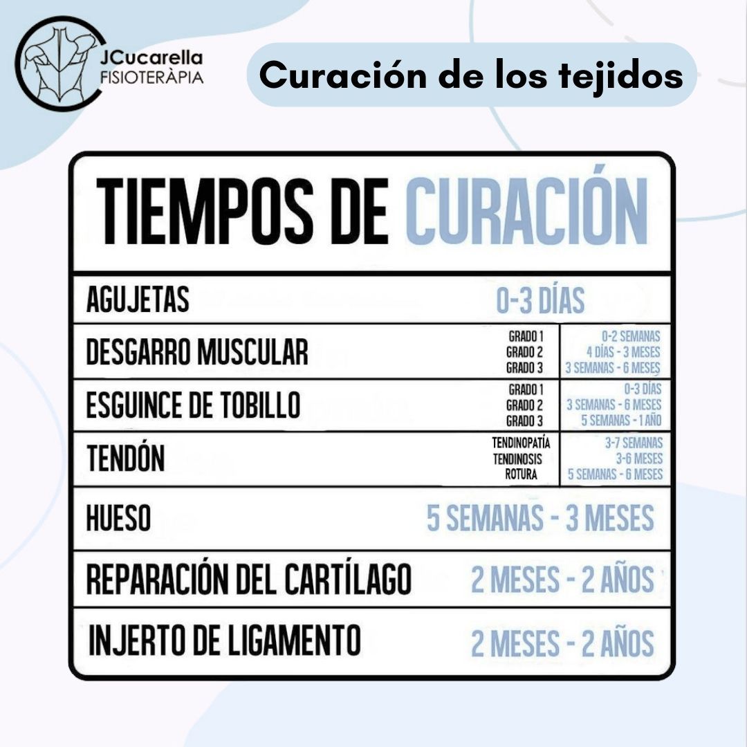 Javier Cucarella Bellvís-5