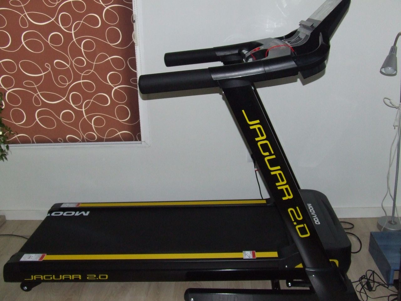 Joaquin Falcón  Sánchez-7