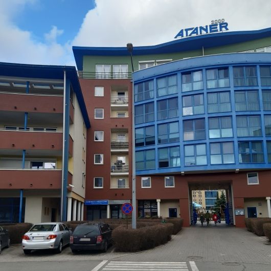 Agnieszka Bartczak-Rutkowska-1