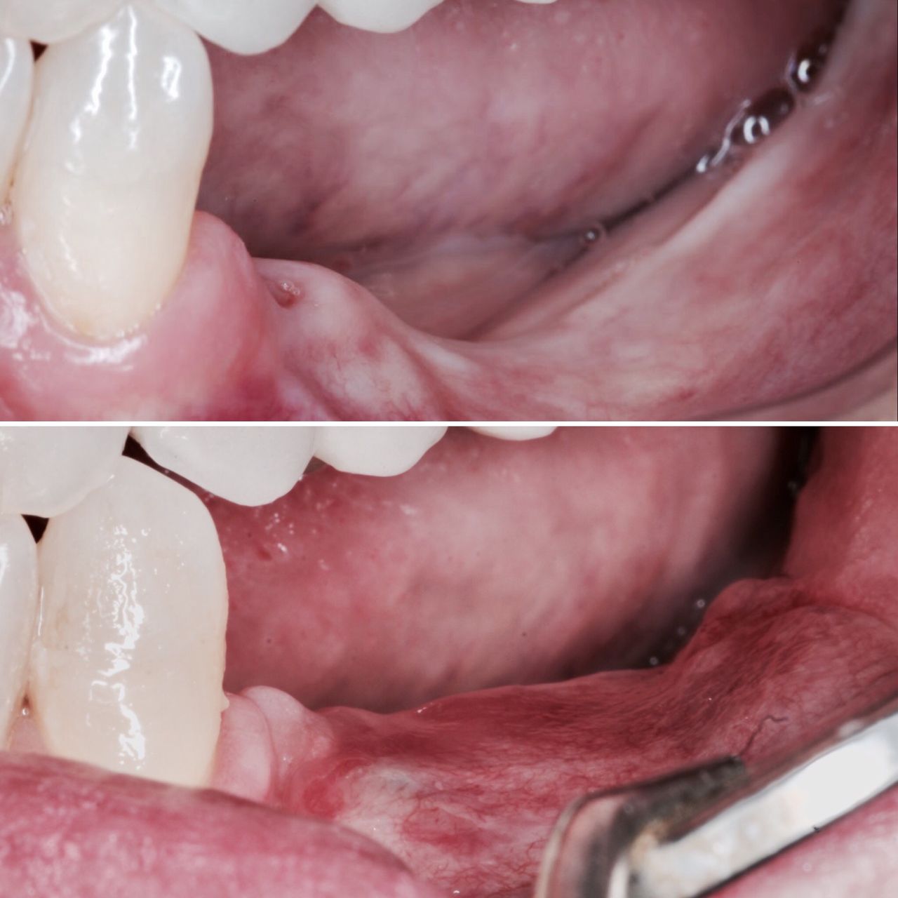 Paco Dominguez Moreno-4