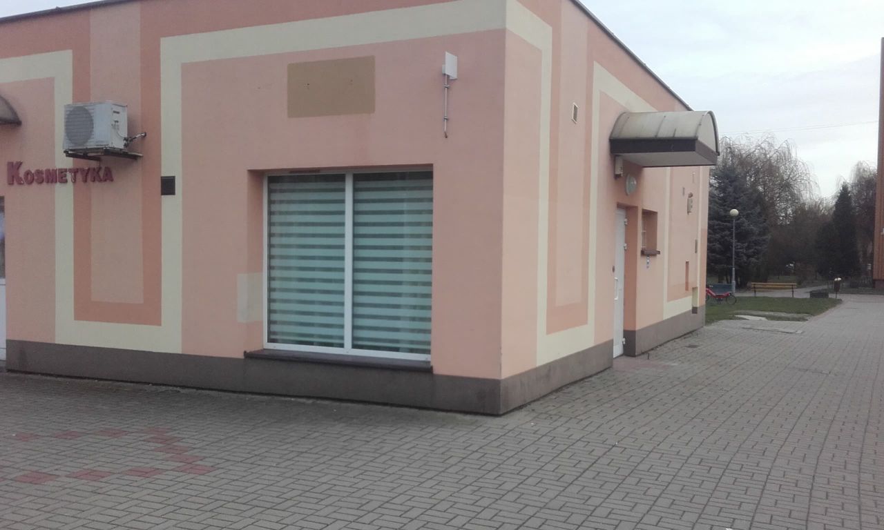 Agnieszka Barłowska-Giereś-1