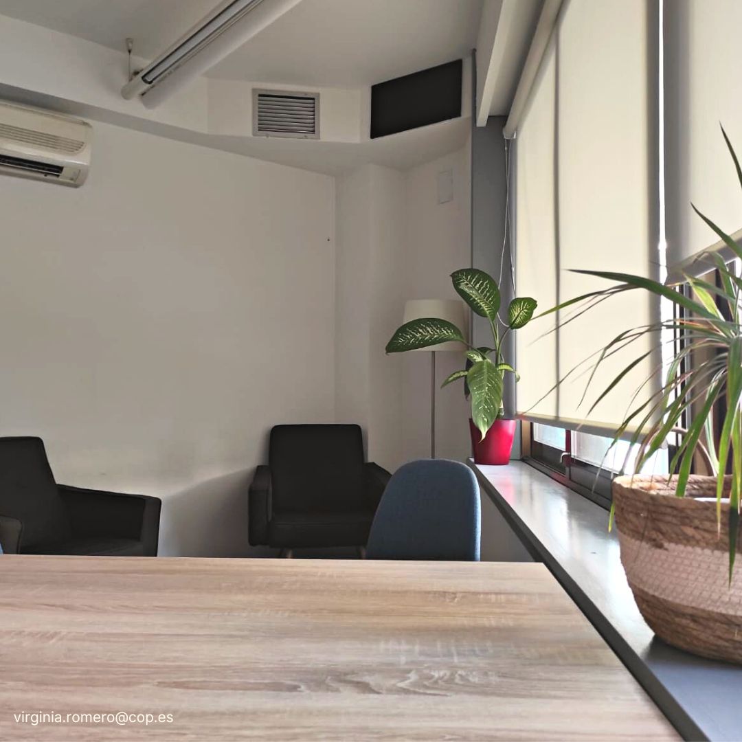 Virginia Ceña Romero-4