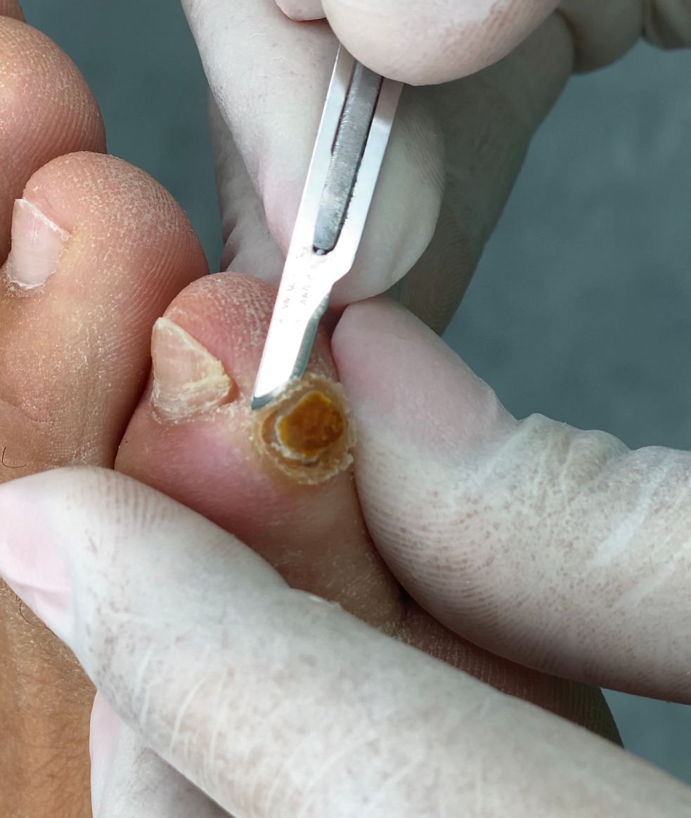 Laura Ortolá Esteve-10