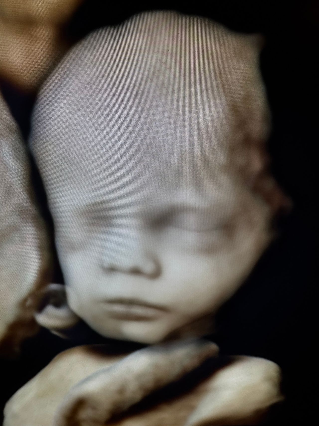 Marsiglietti Carlo-4