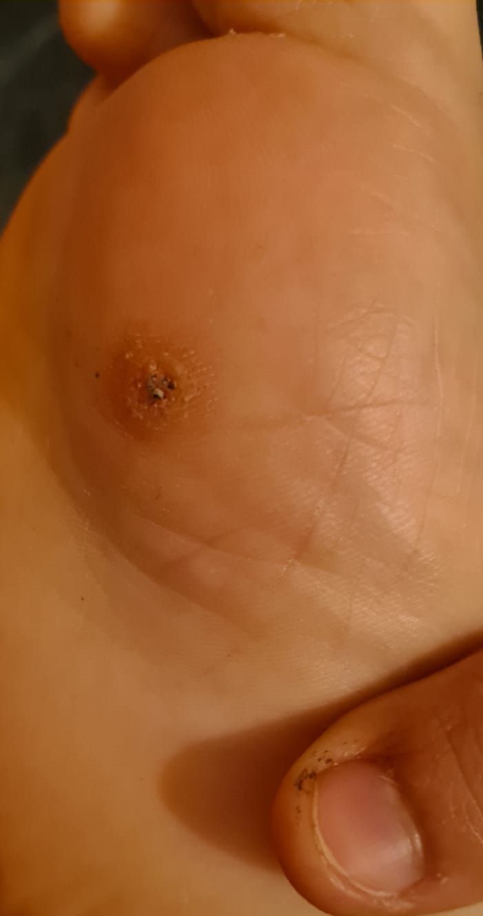 Kassandra Nicolosi-114