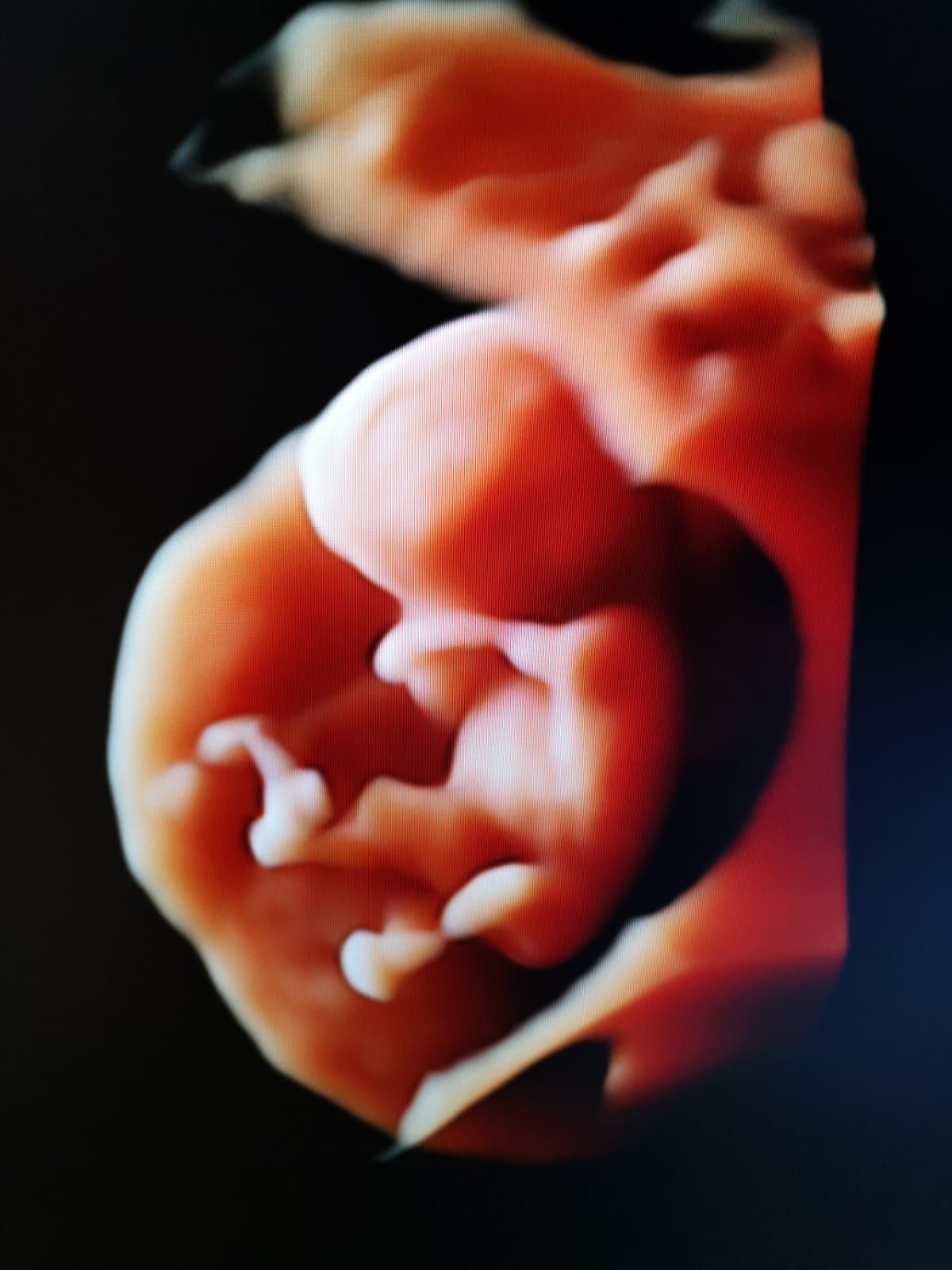 Nicoletta Vendola-12