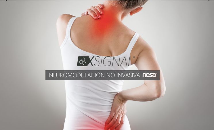 Laura Rodríguez San Pedro-1