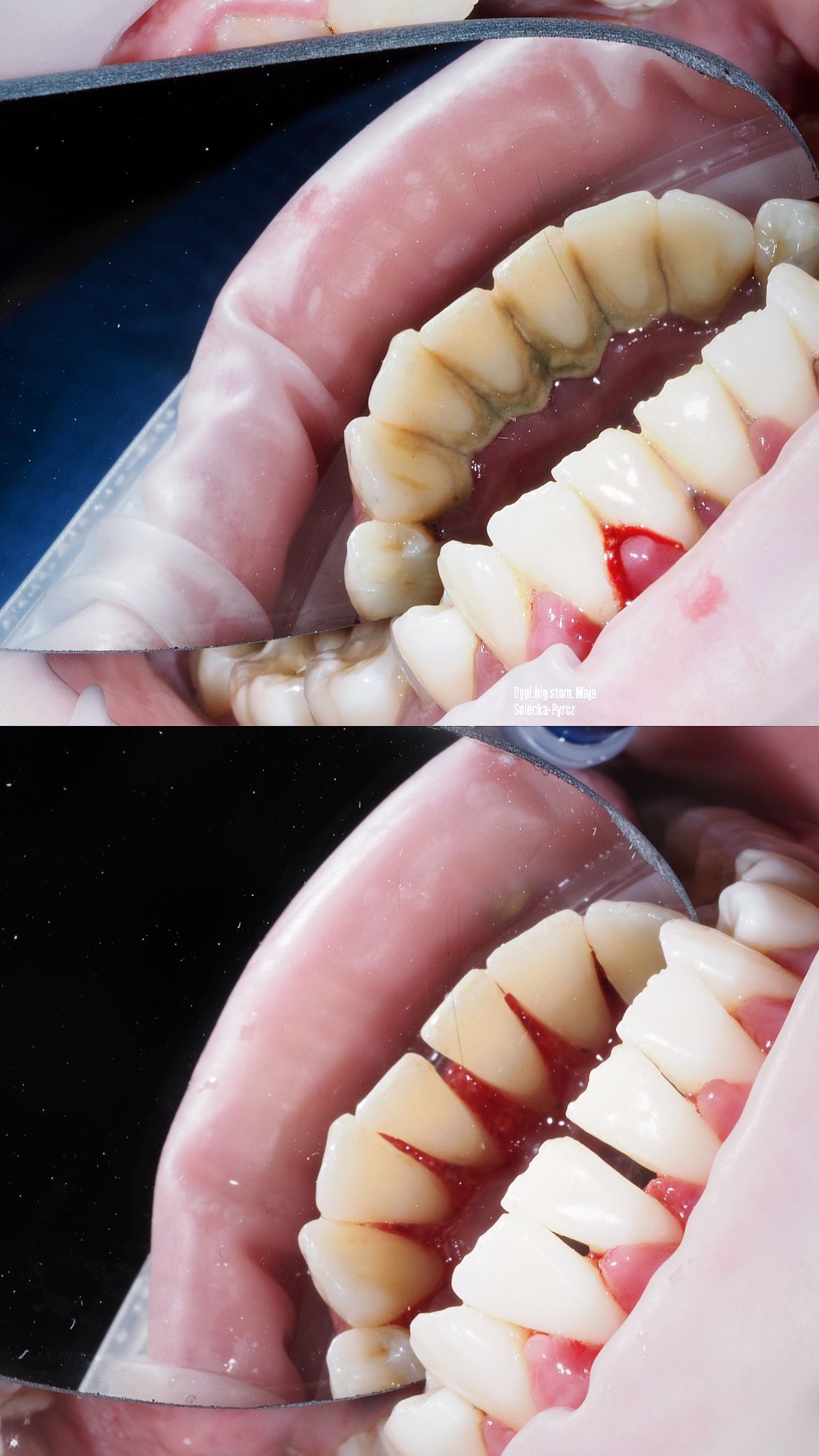 Maja Solecka-Pyrcz-0