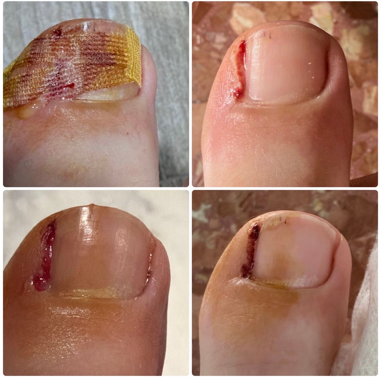 Laura Ortolá Esteve-2