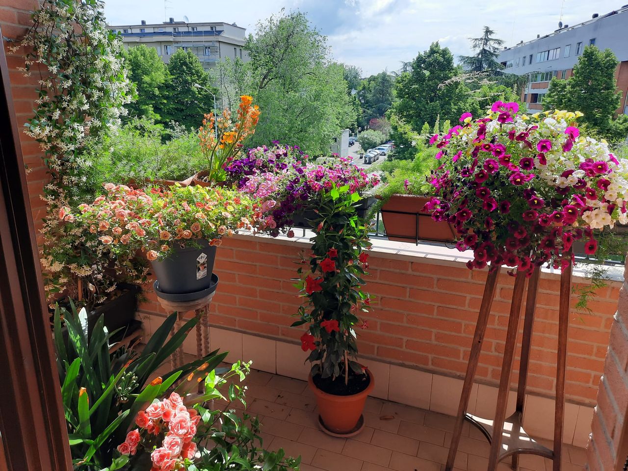 Maria Cristina Soffritti-2