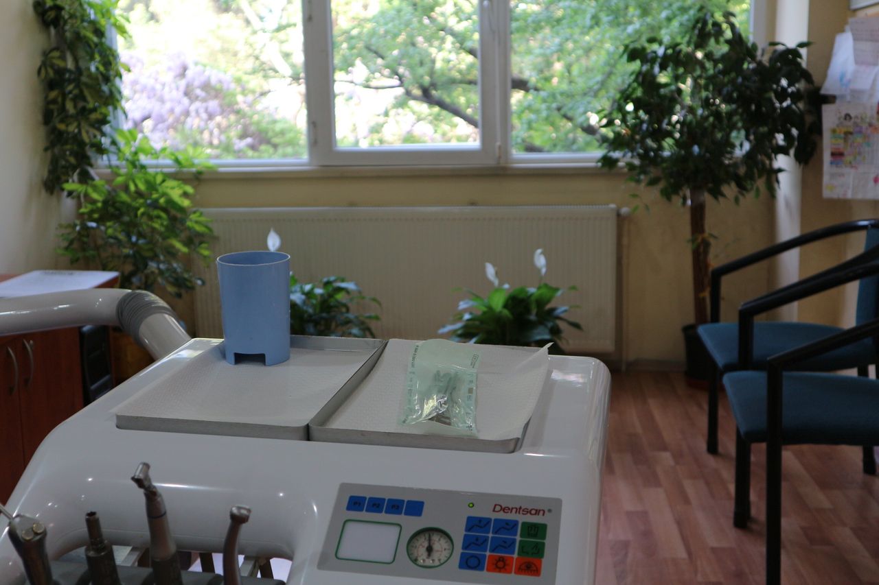 Mine Zeynep Leventoğlu-2