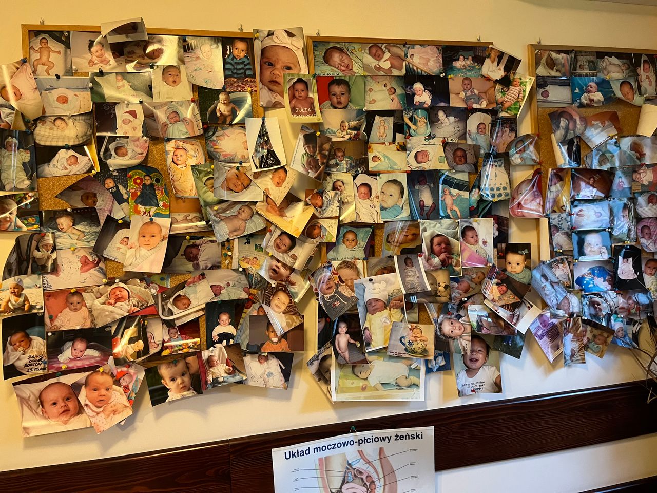 Bohdan Dźwigała-14