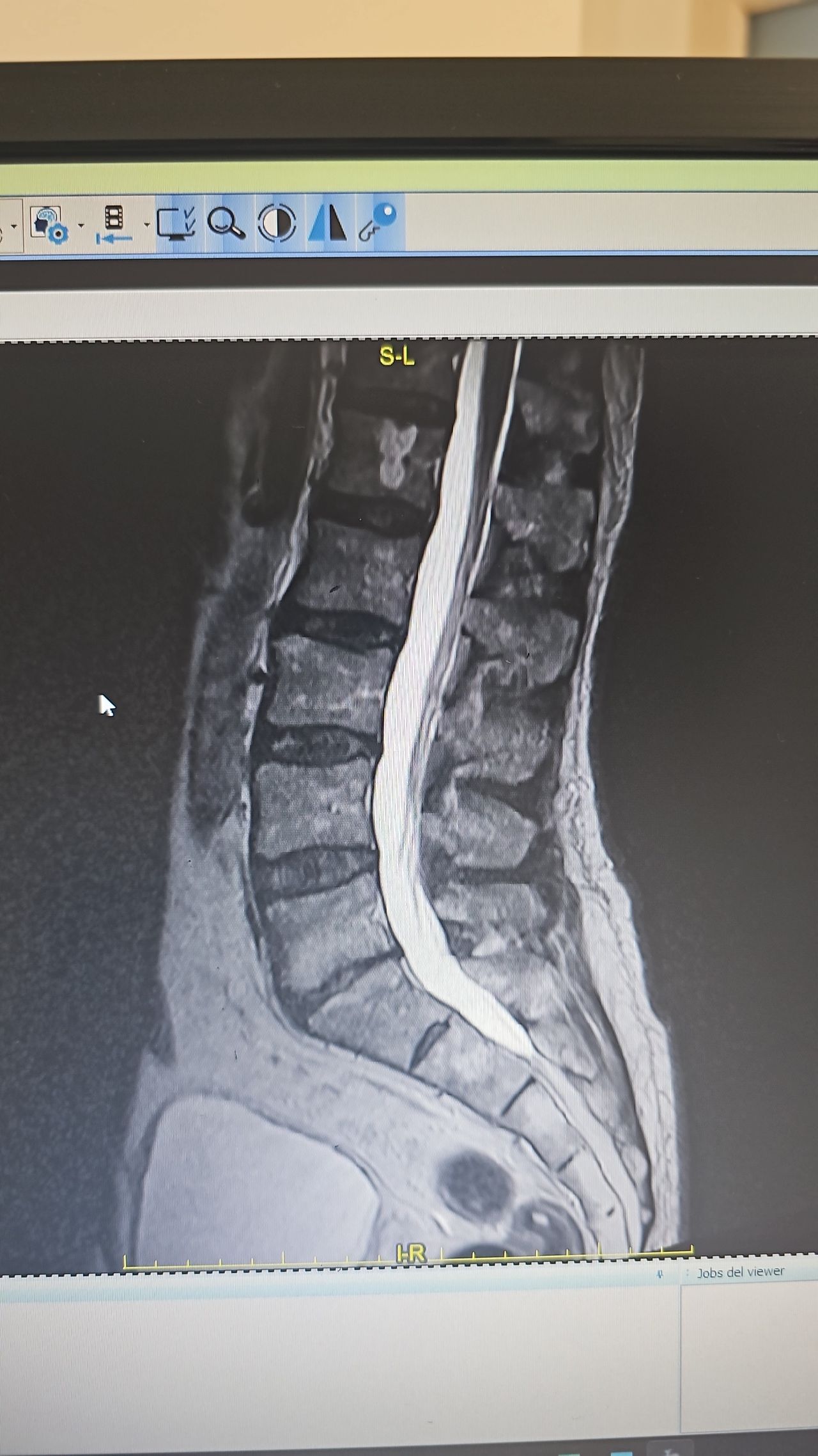 Stefania De Trane-21