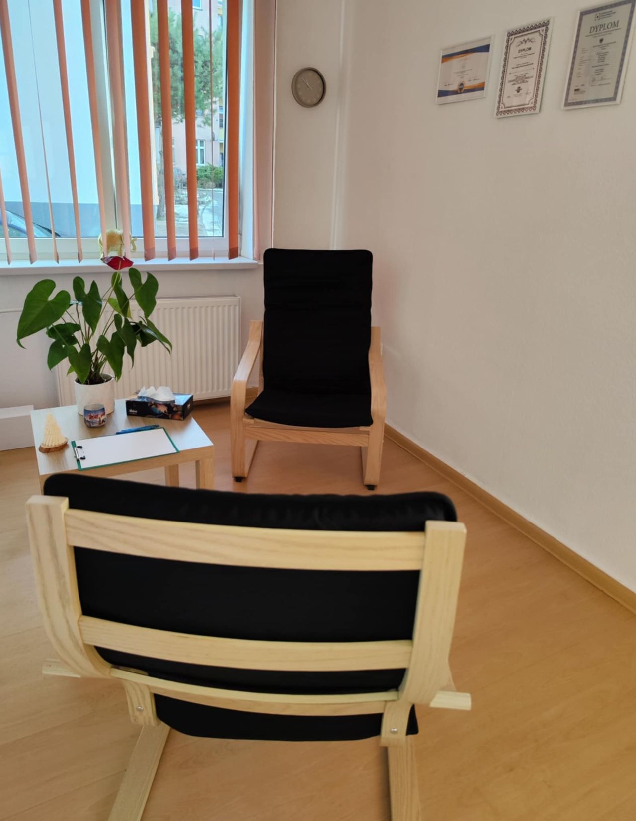 Justyna Wierzchowska-Królik-1