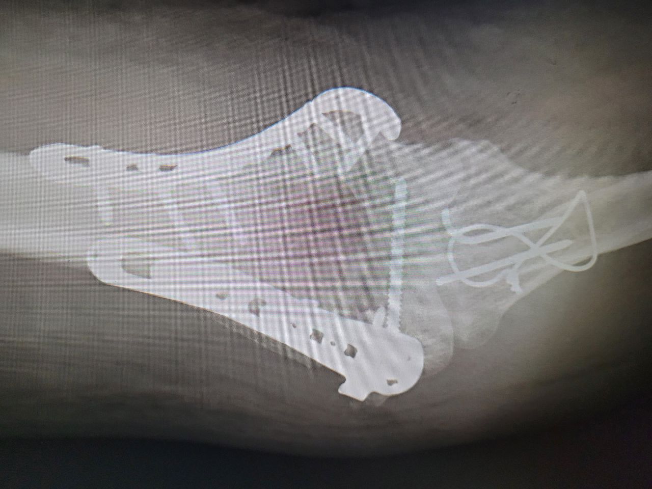 Mateusz Orzechowski-2