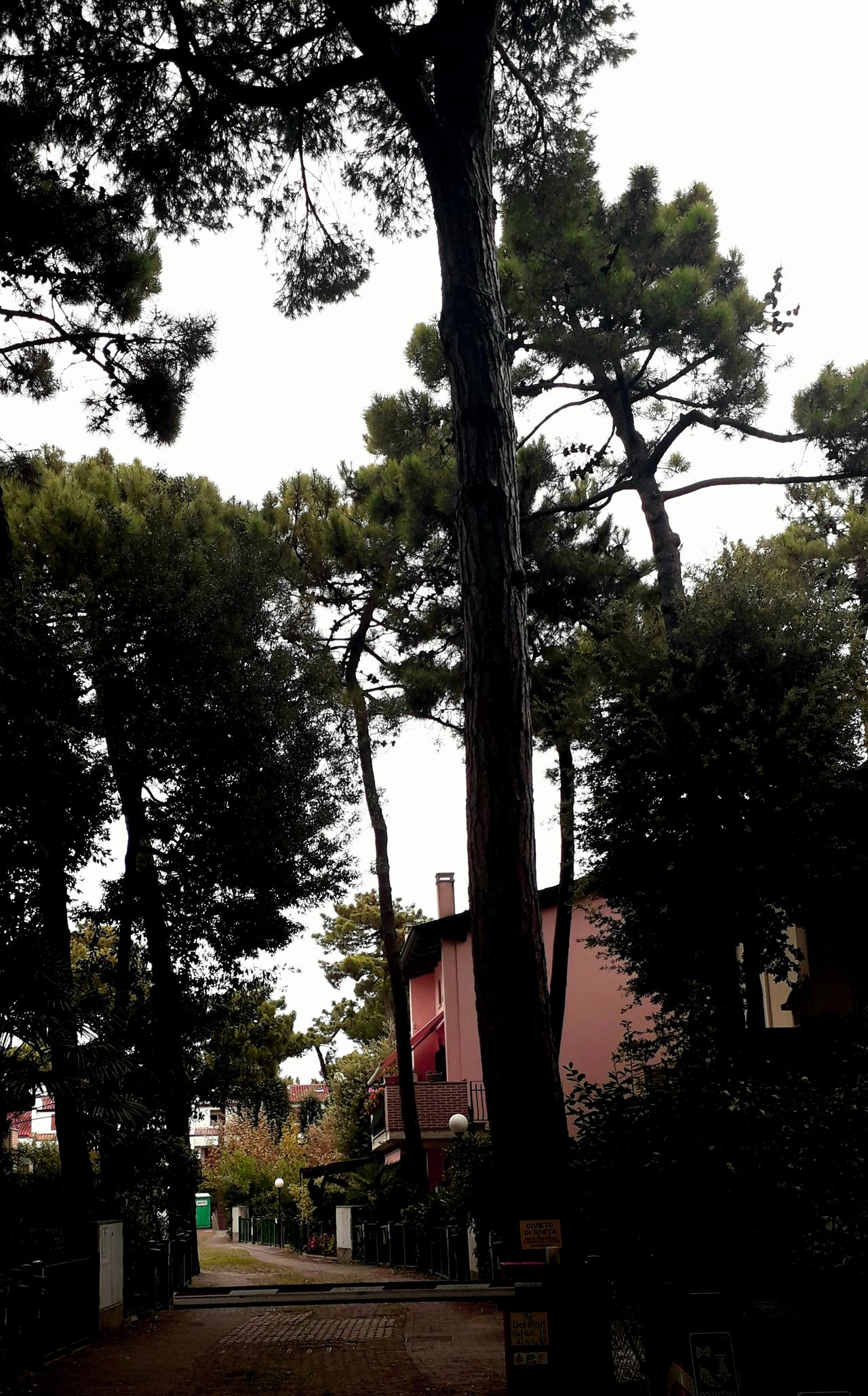 Gabriella Montanari-5