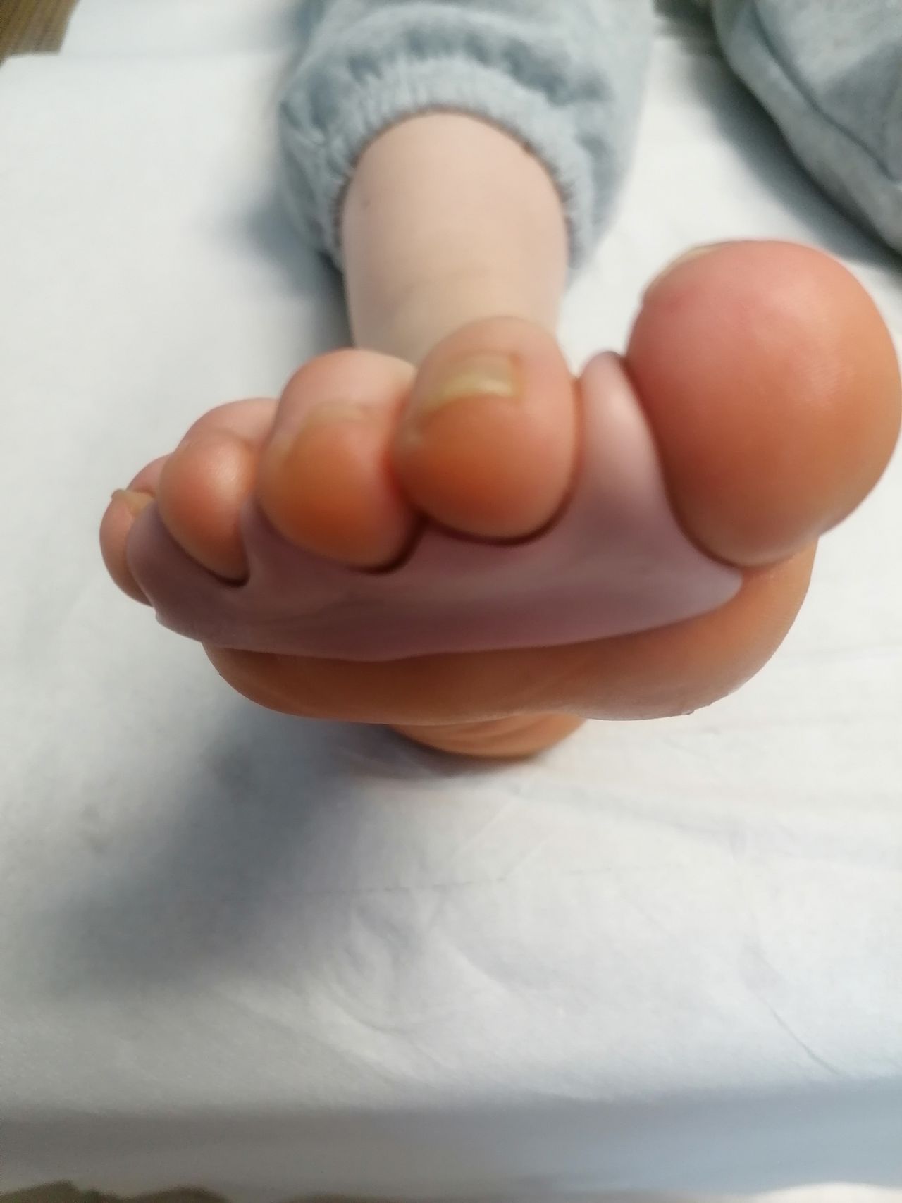 Kassandra Nicolosi-361