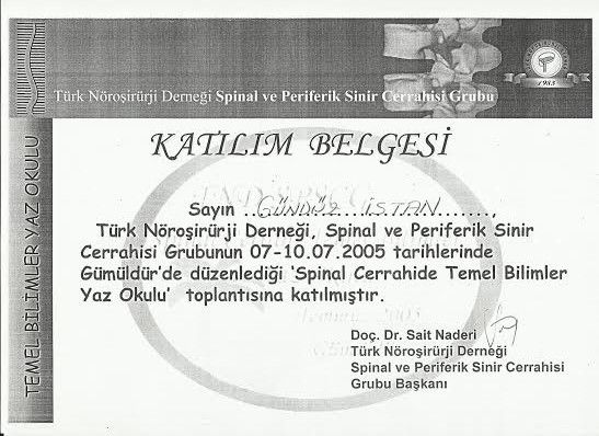 Gündüz Kadir İstan-17