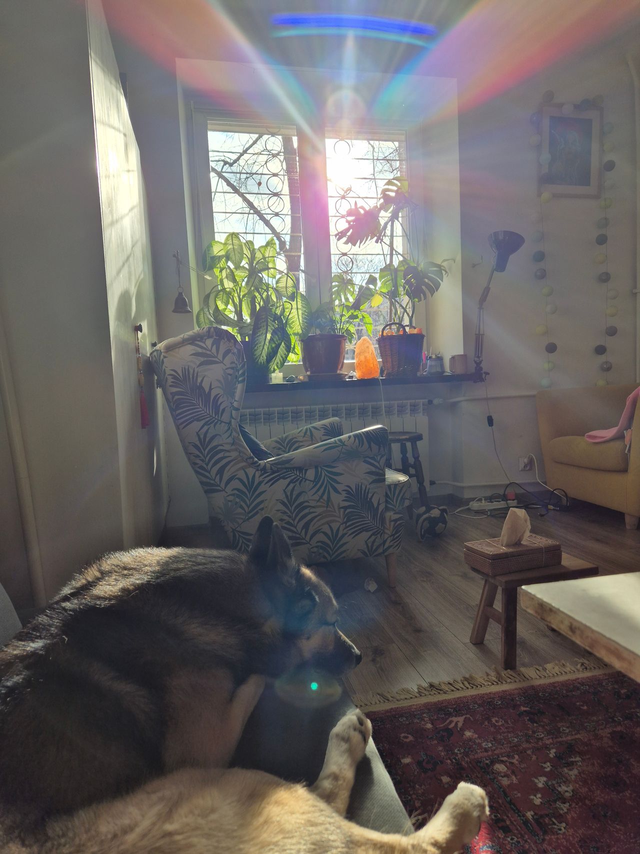 Agnieszka Dobrowolska-0