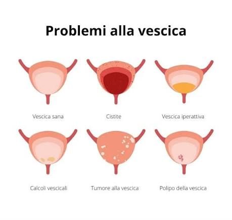 Alice Antonioni-0