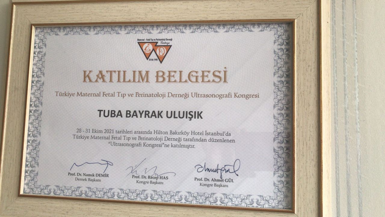 Tuba Bayrak Uluışık-1