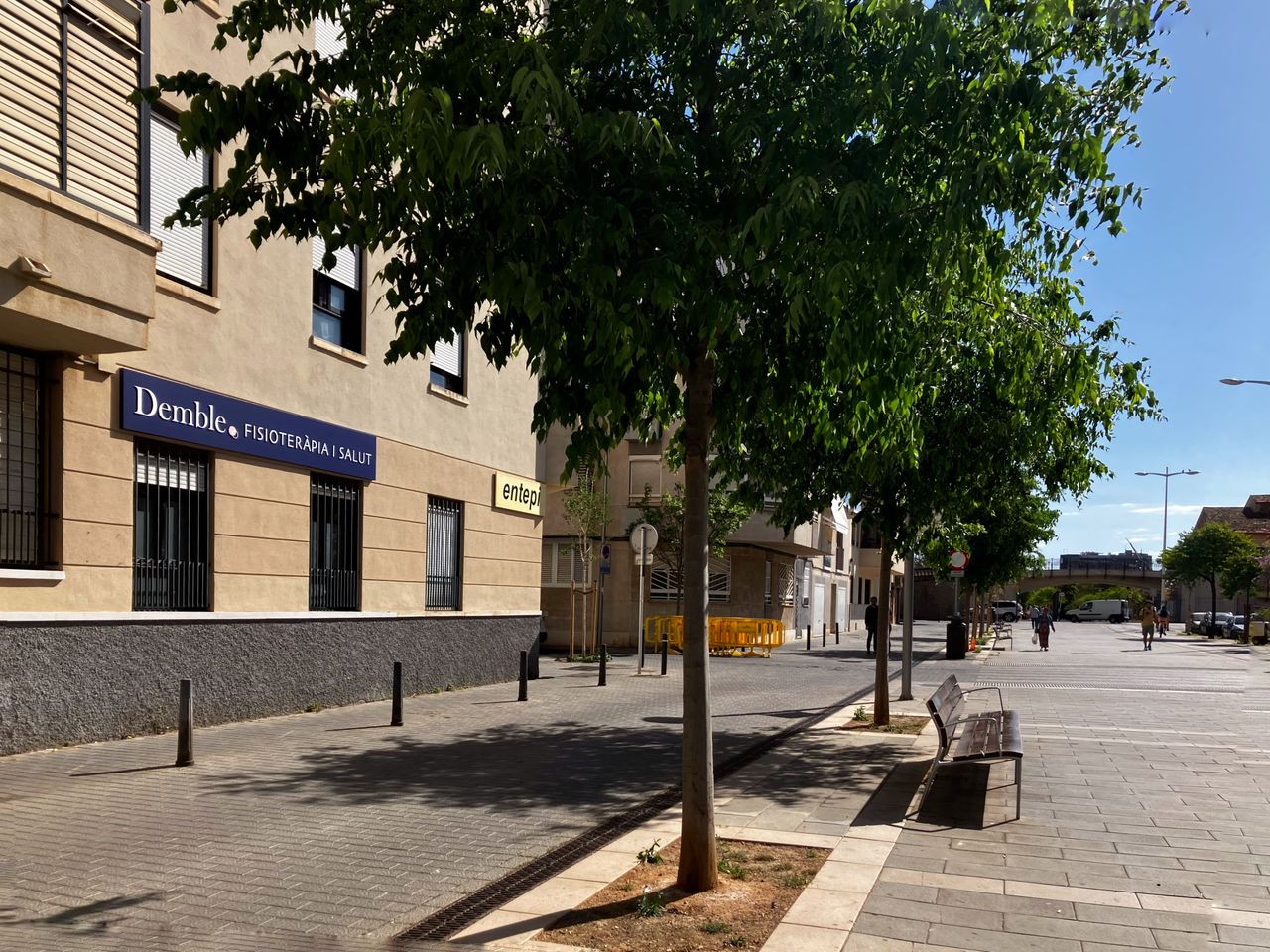 Carme Vallcaneras Ochogavía-5