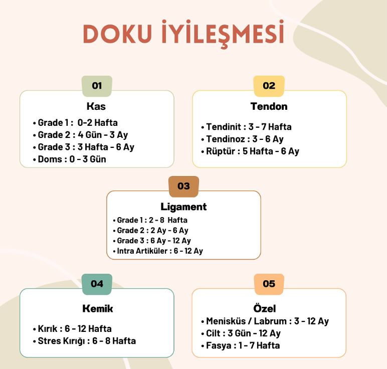 Büşra Mintaş Kervancı-1