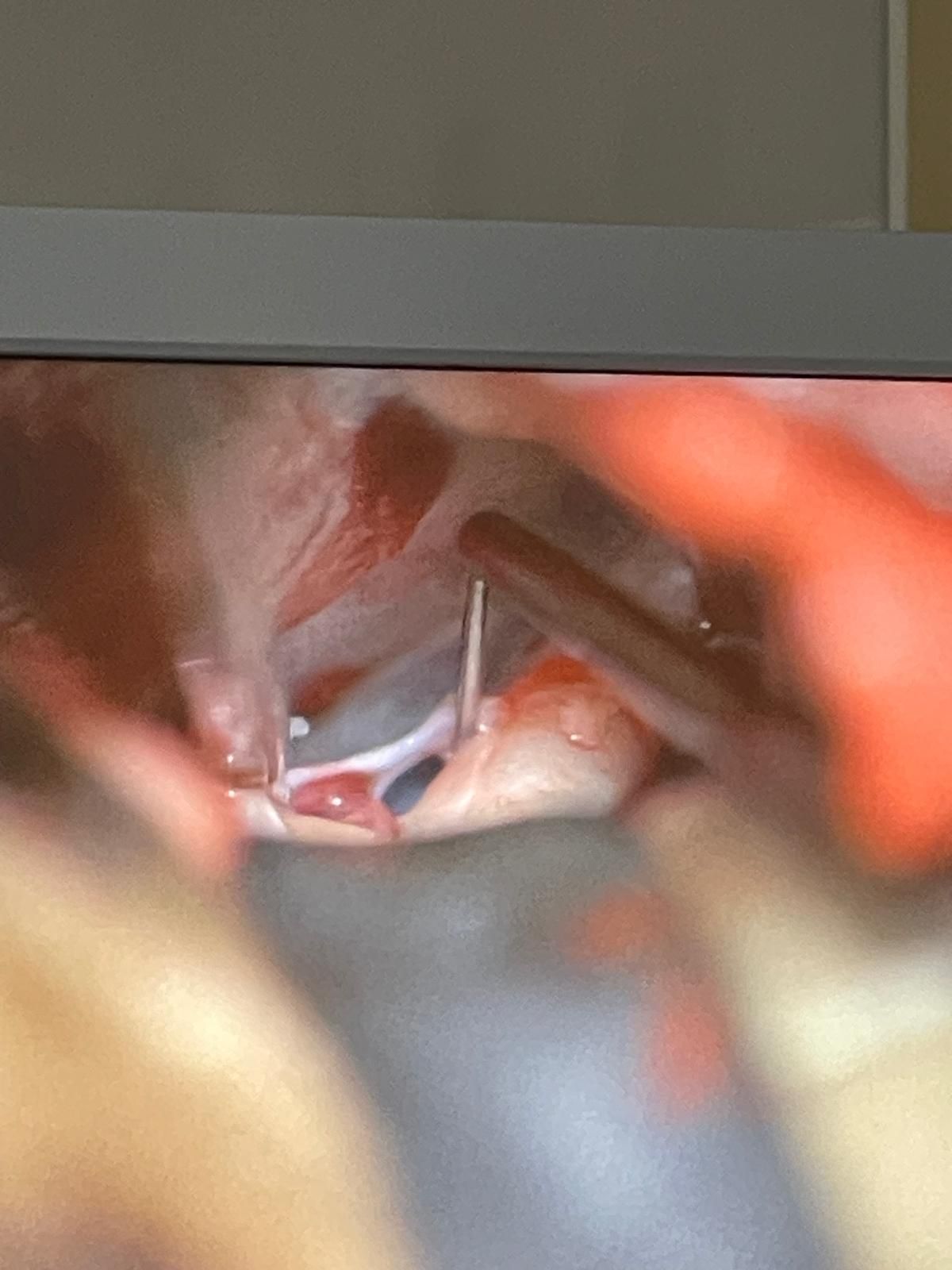 Jarosław Andrychowski-61