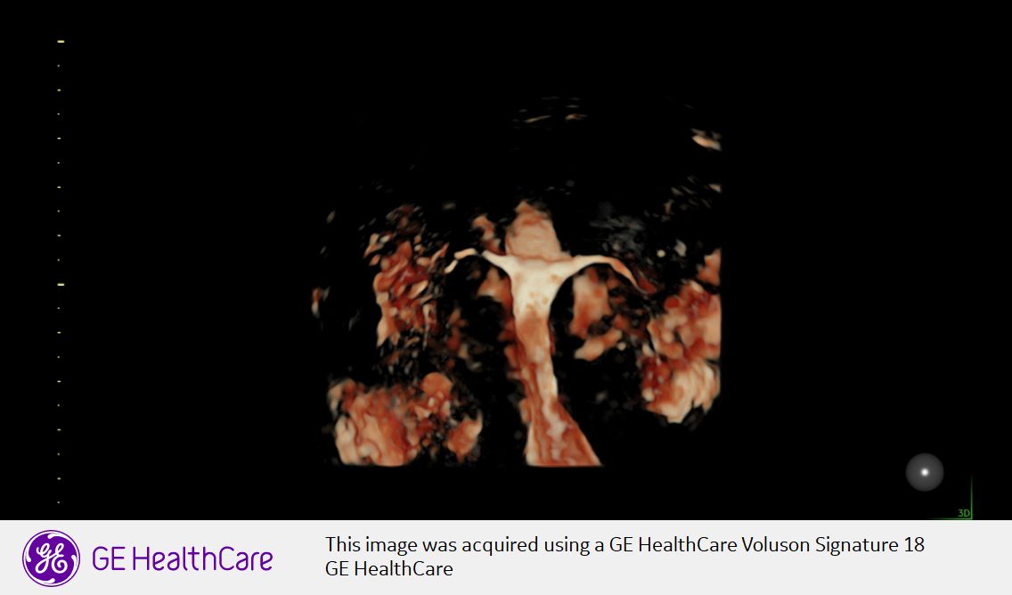 Domenico Incandela-18