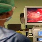 Jose E. Duarte Novo-0