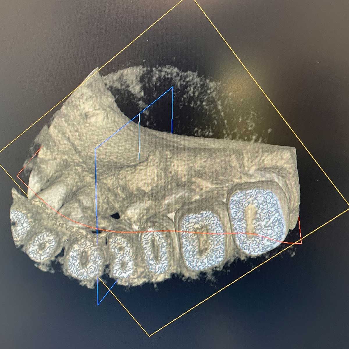 Gianluigi Bittante-76