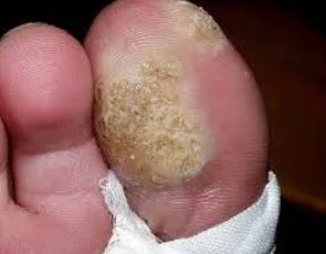 Francesca Montaquila-6