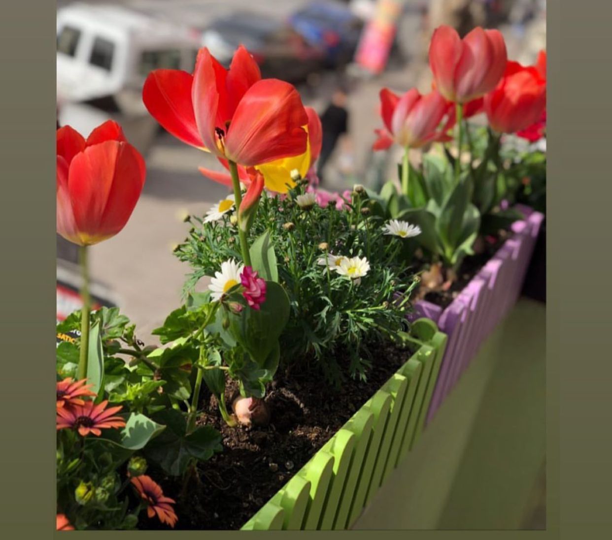 Sarah Merve Ahmad-14