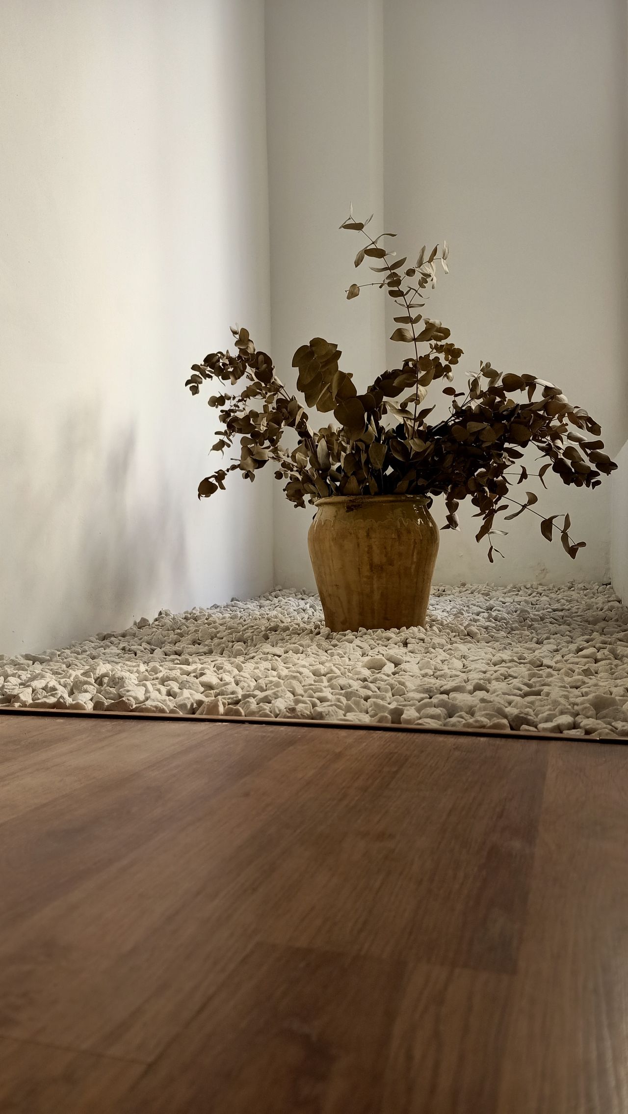 Carolina Puchades Gimeno-4