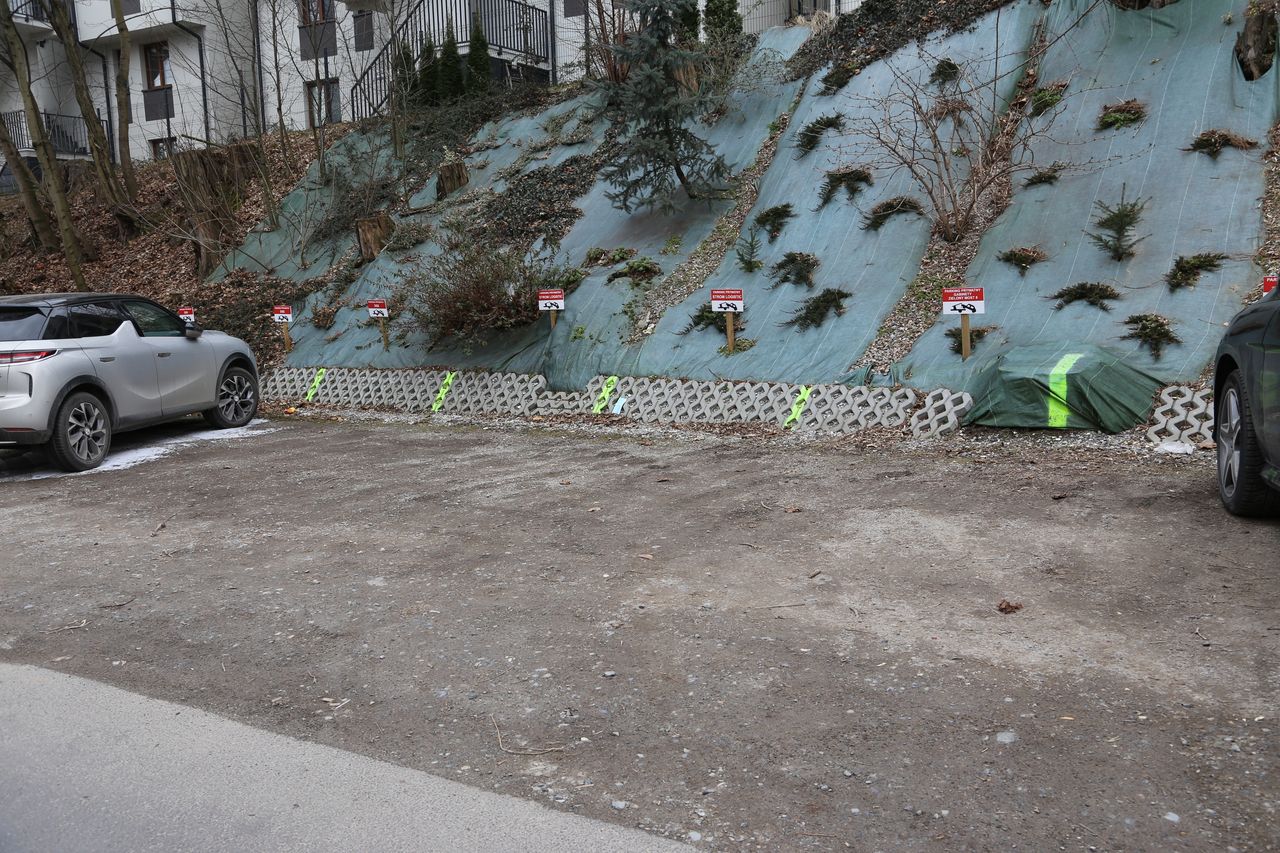 Anna Górecka-Tuteja-5